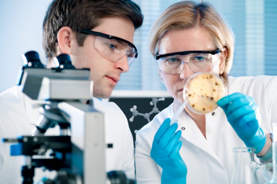 식품 위생 검사